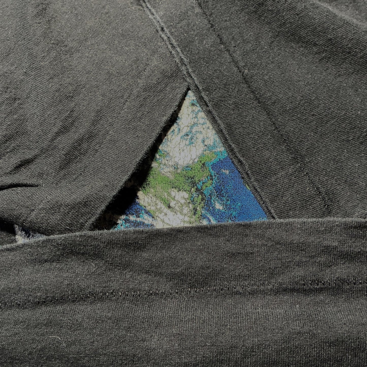 90s スミソニアン博物館 スーベニアT フルーツオブザルーム ブラック 2XL a-u-2505-066