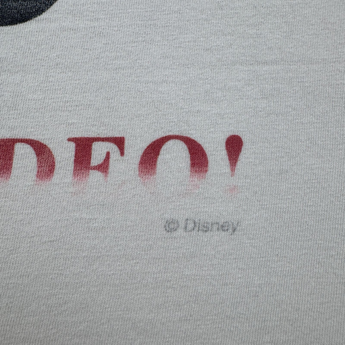 00s ダルメシアンズ 101匹わんちゃん ディズニー disney Tシャツ 白 犬 アニマル 2603-0034