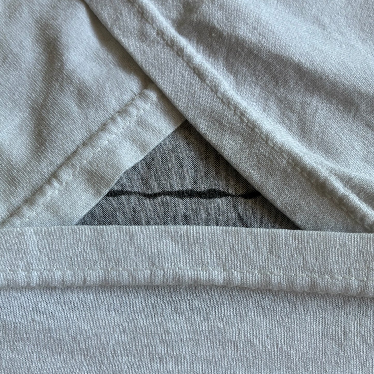 00s Great Reversals フォトT フルーツオブザルーム M a-u-2505-028