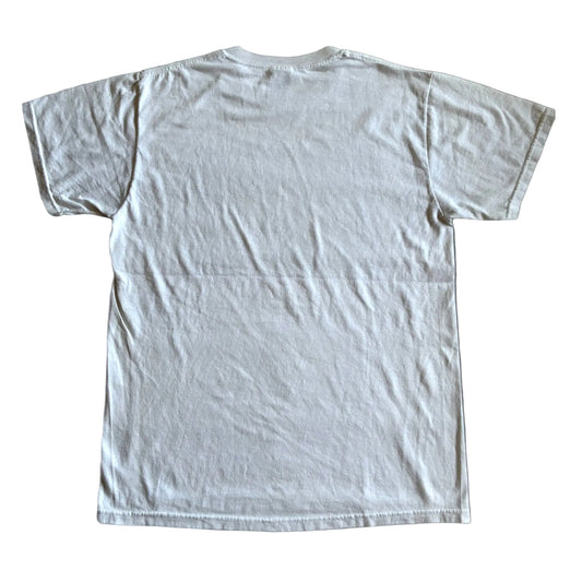 00s Great Reversals フォトT フルーツオブザルーム M a-u-2505-028