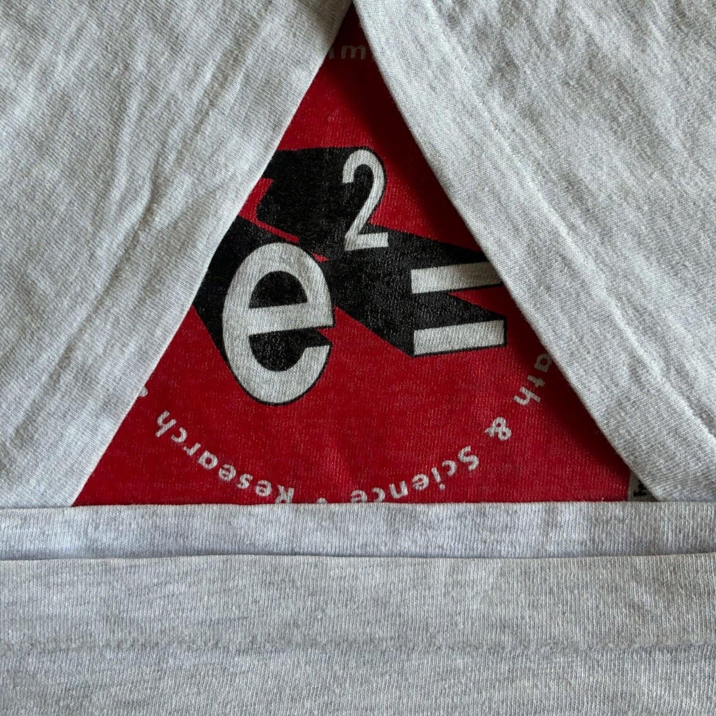 90s e2= 教育系プロモT アインシュタイン Hanes XL グレー a-u-2505-008