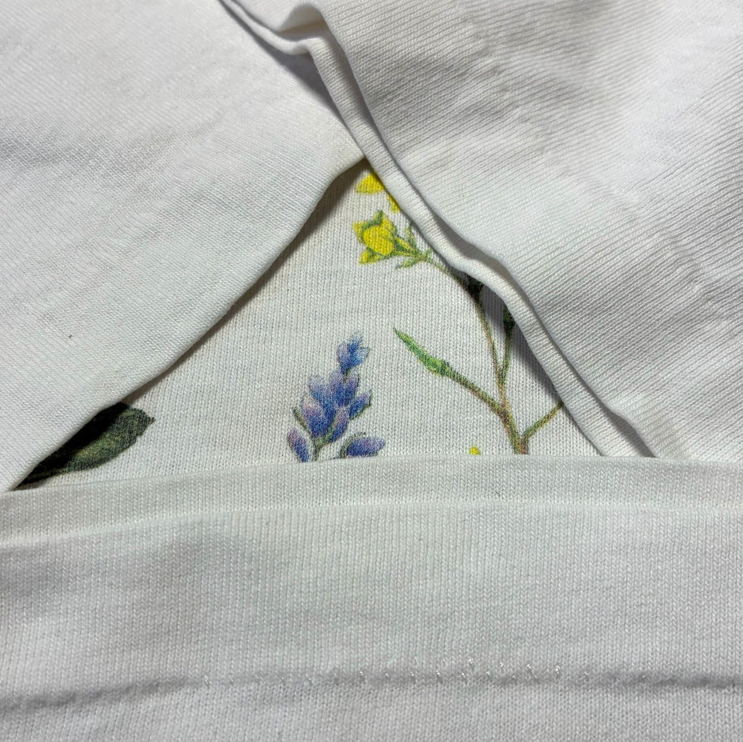 90s The Nature Company ボタニカル 植物 蝶 anvil USA製 ホワイト L a-u-2505-064