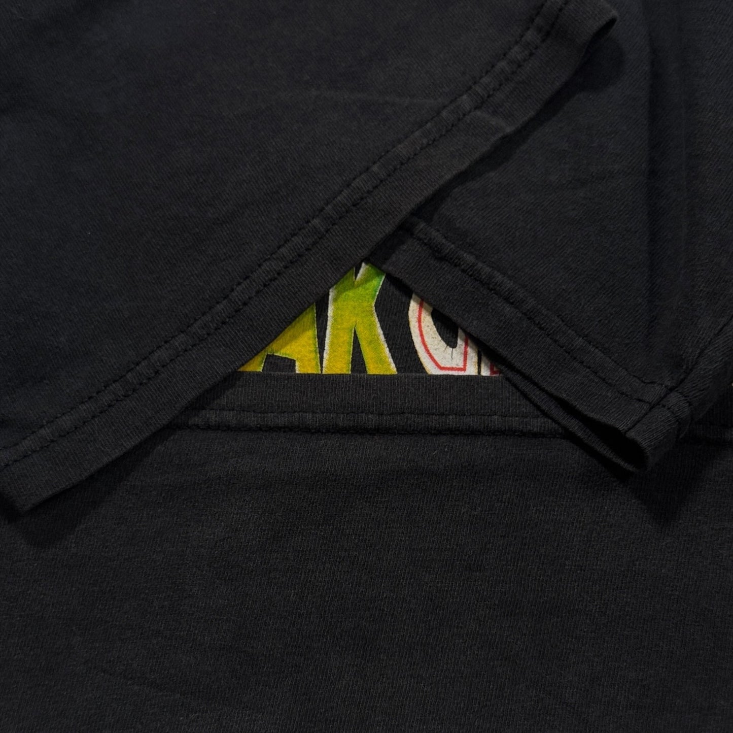 90s ジュラシックパーク The ride USA製 黒 L m-x-2505-034