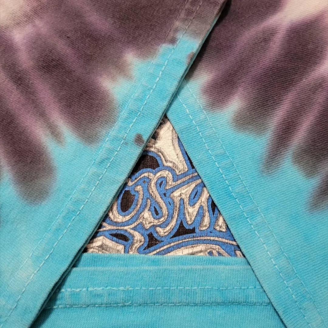 Aerosmith エアロスミス ディズニー タイダイ ba-000020