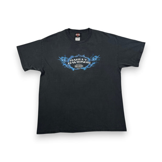 00s ハーレーダビッドソン Tシャツ 黒 炎 ROSWELL killer creek 2004 harley davidson XL co-t-2505-008