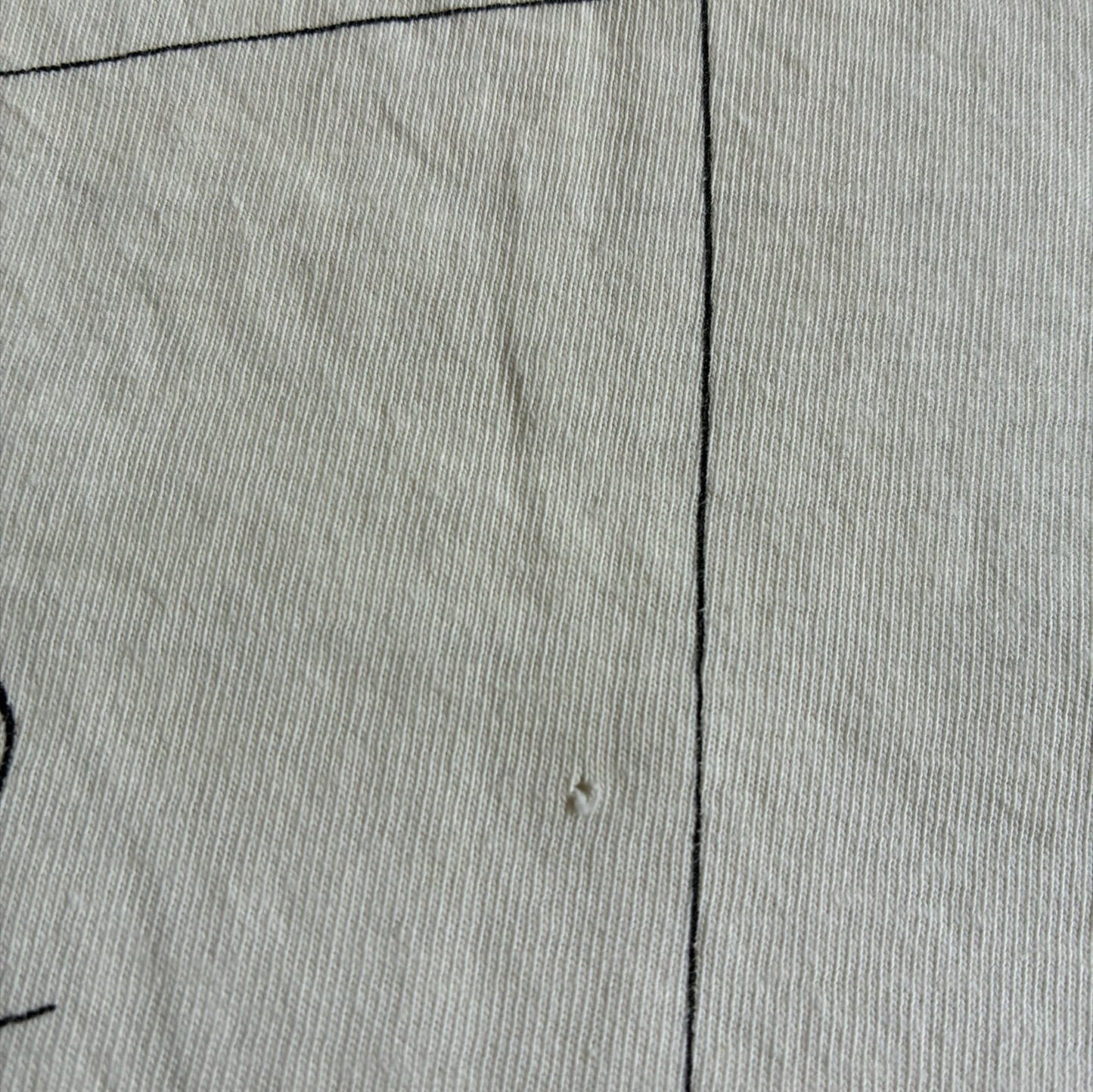 90s AB DIVER サンタカタリナ島 アワビ漁 アートT USA製 Hanes ホワイト XL a-u-2505-020