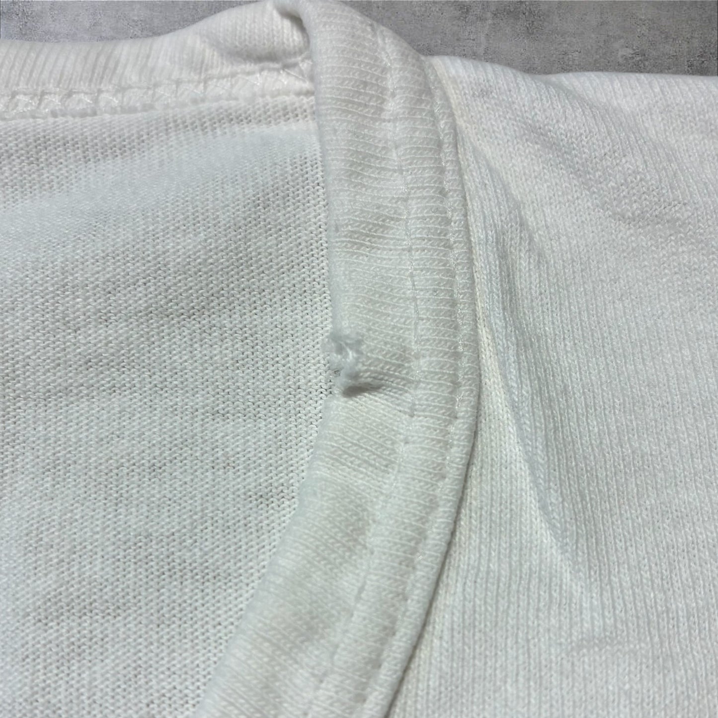 90s The Nature Company ボタニカル 植物 蝶 anvil USA製 ホワイト L a-u-2505-064