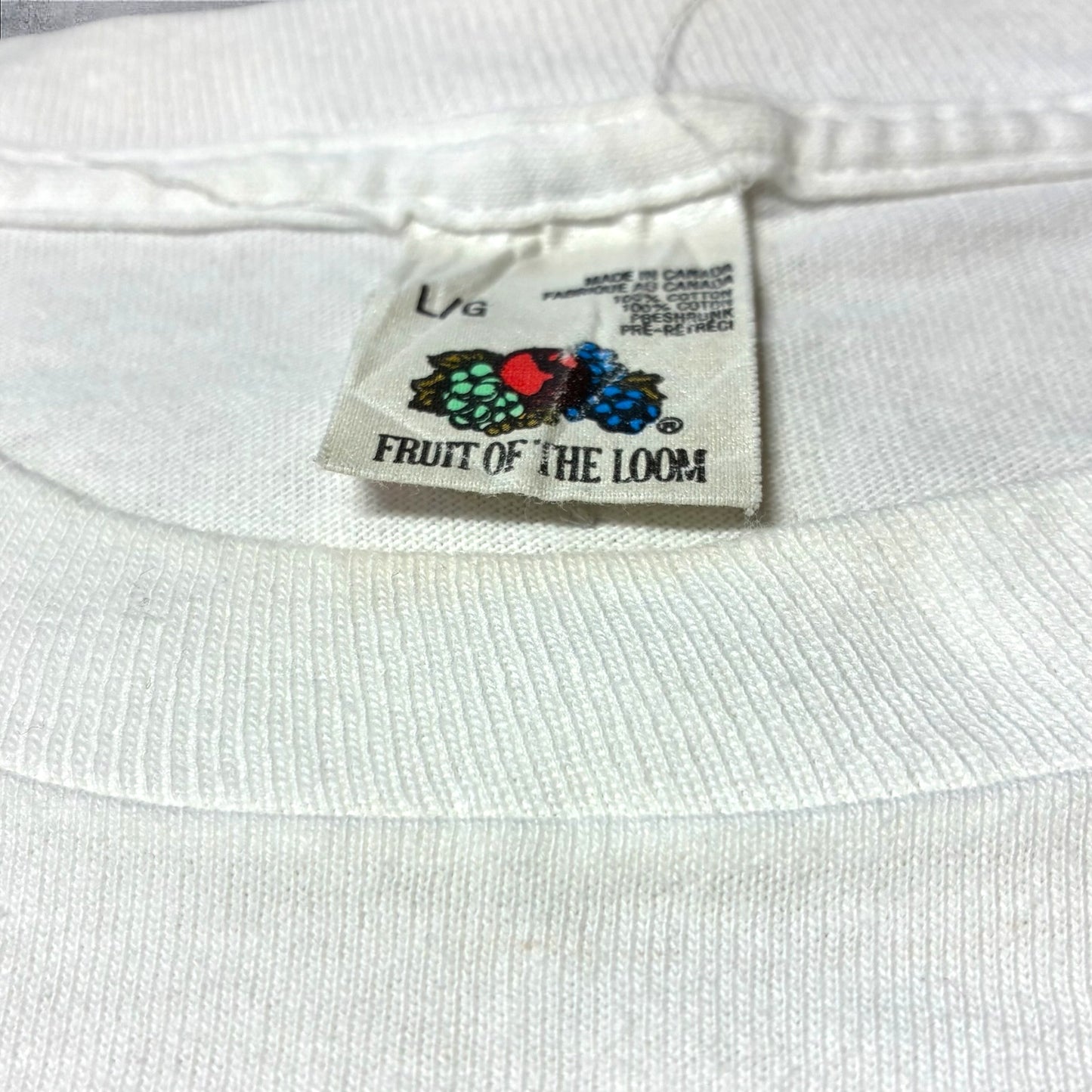 90s Cat Wants Out STUART KATT 猫 アニマルT アートT フルーツオブザルーム カナダ製 ホワイト L a-u-2505-082