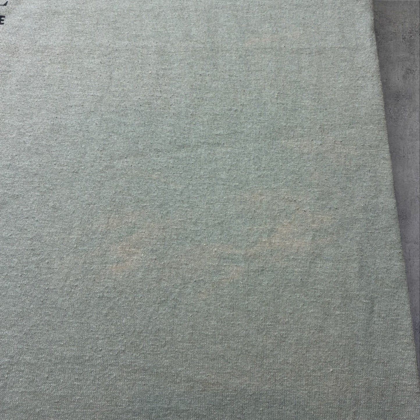 00s MOOSE WAYNE MOOSEVILLE Hanes カーキ L a-u-2505-036