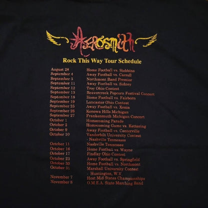 Aerosmith エアロスミス Tシャツ バンT 3XL 黒 ba-000019