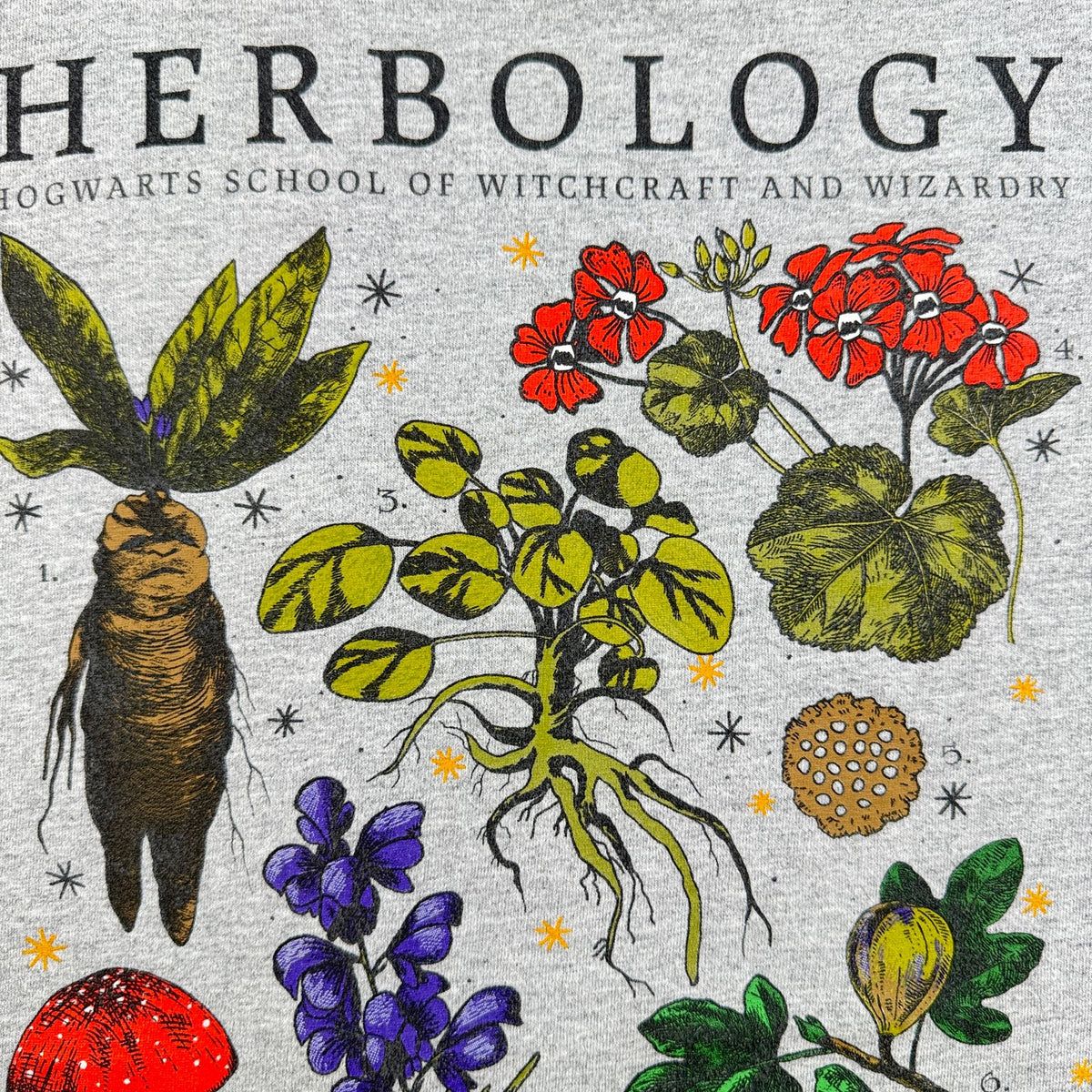 00s 映画 ハリーポッター 薬草学 HERBOLOGY Tシャツ ホグワーツ グレー マンドレイク Harry Potter m-u-2505-021