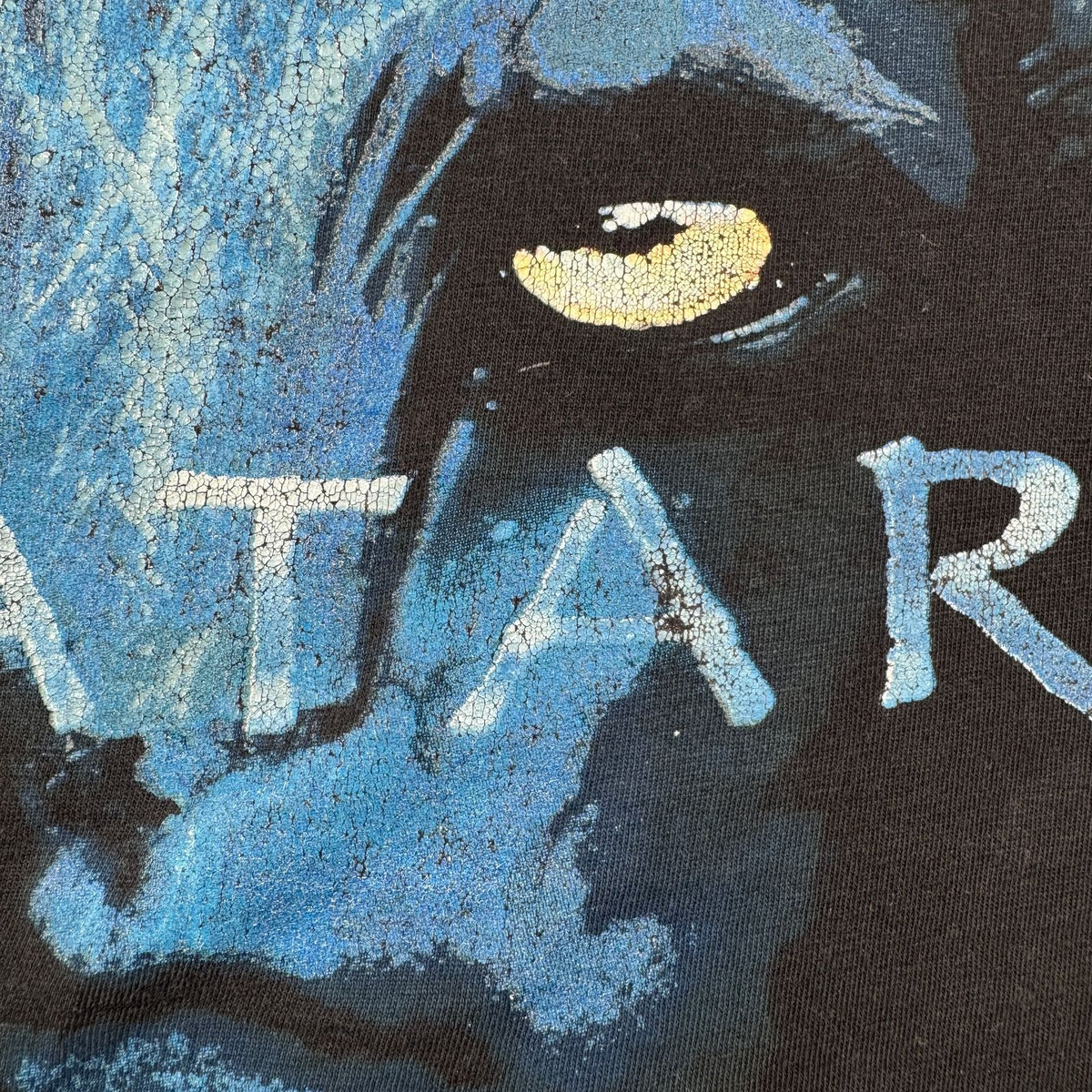 アバター AVATAR 映画 Tシャツ 2010 L 黒 m-u-2505-028