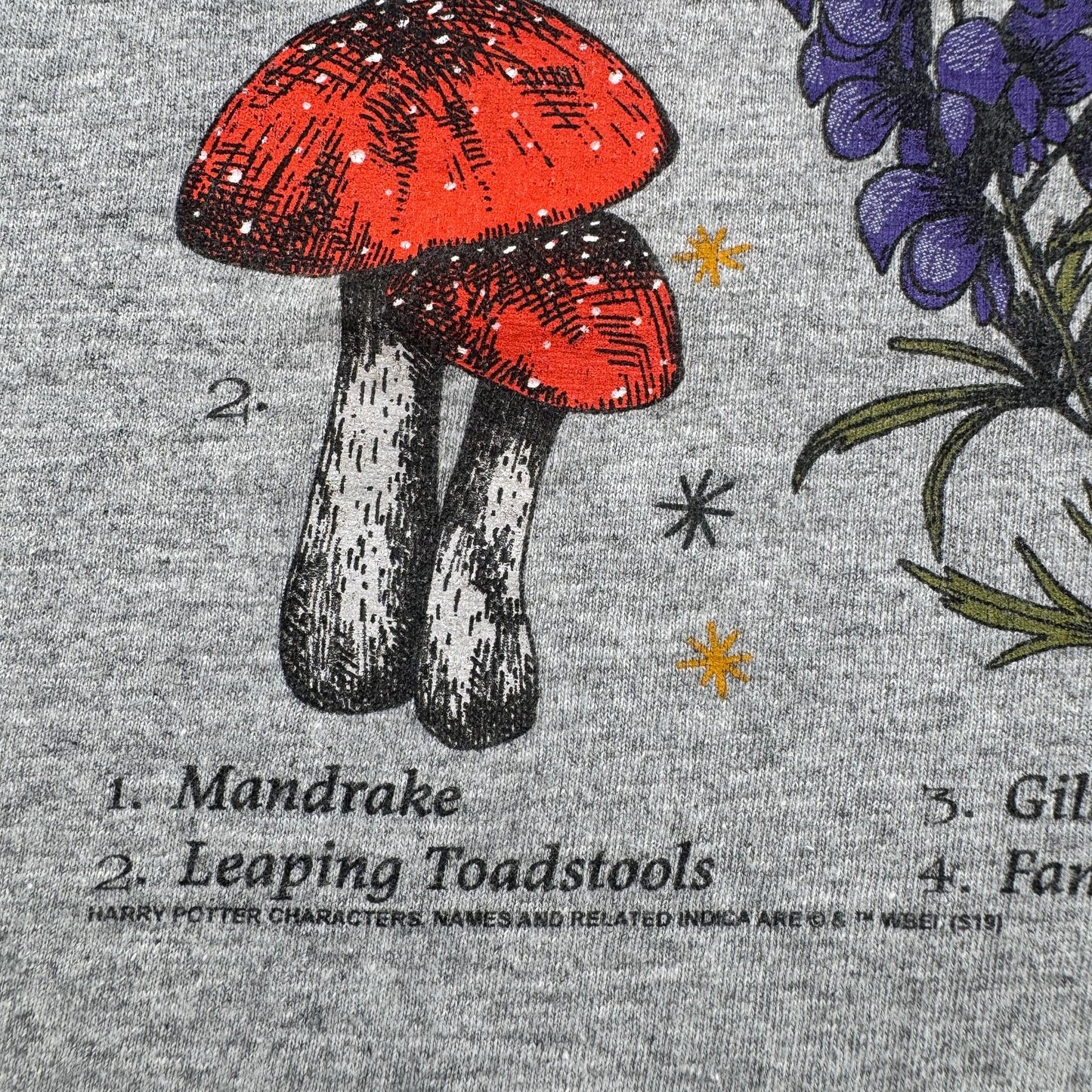 00s 映画 ハリーポッター 薬草学 HERBOLOGY Tシャツ ホグワーツ グレー マンドレイク Harry Potter 3XL グレー 汚れあり m-u-2505-005