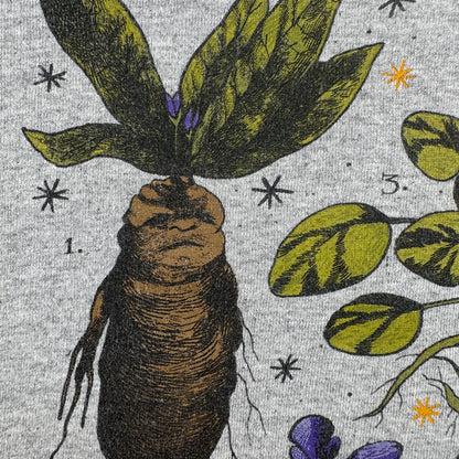 00s 映画 ハリーポッター 薬草学 HERBOLOGY Tシャツ ホグワーツ グレー マンドレイク Harry Potter 3XL グレー 汚れあり m-u-2505-005