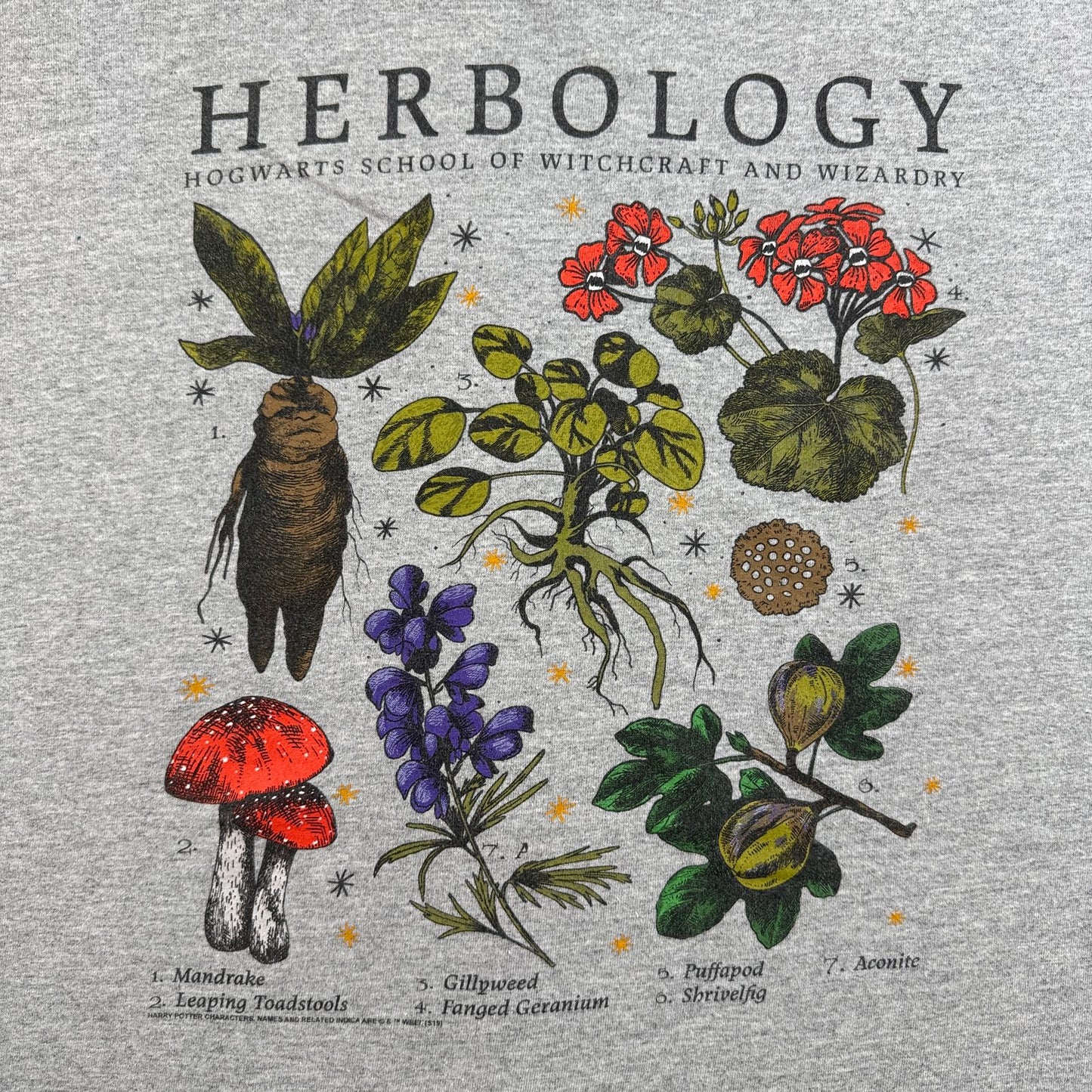 00s 映画 ハリーポッター 薬草学 HERBOLOGY Tシャツ ホグワーツ グレー マンドレイク Harry Potter 3XL グレー 汚れあり m-u-2505-005