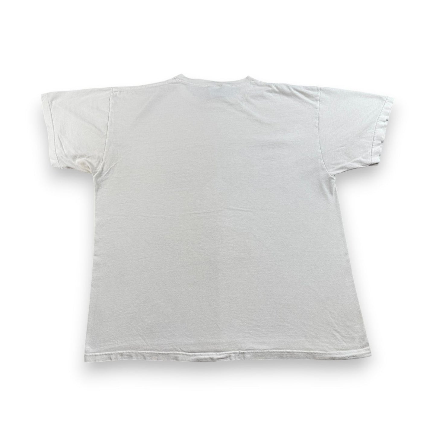 90s 00s CATCH ME IF YOU CAN Tシャツ 白 XL m-u-2505-042