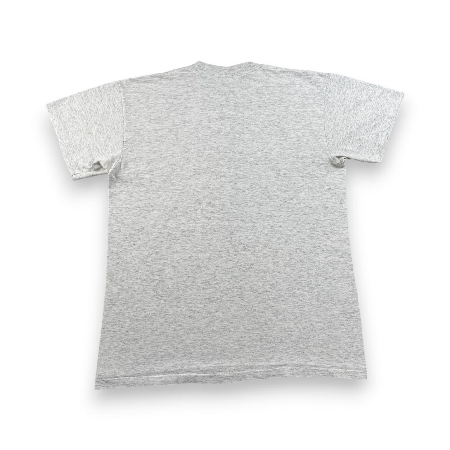80s 90s スーベニアT Tシャツ USA製 カリフォルニア Agua Dulce アグアダルセ ONEITA グレー L シングルステッチ o-u-2505-004