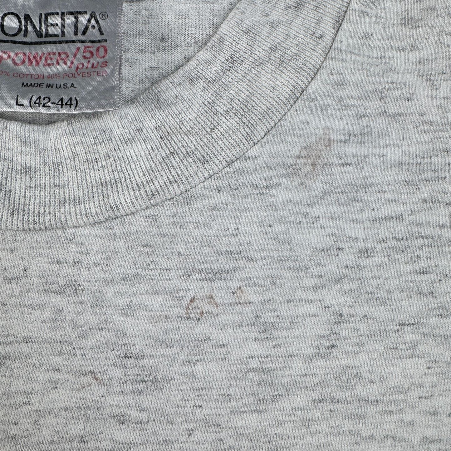 80s 90s スーベニアT Tシャツ USA製 カリフォルニア Agua Dulce アグアダルセ ONEITA グレー L シングルステッチ o-u-2505-004
