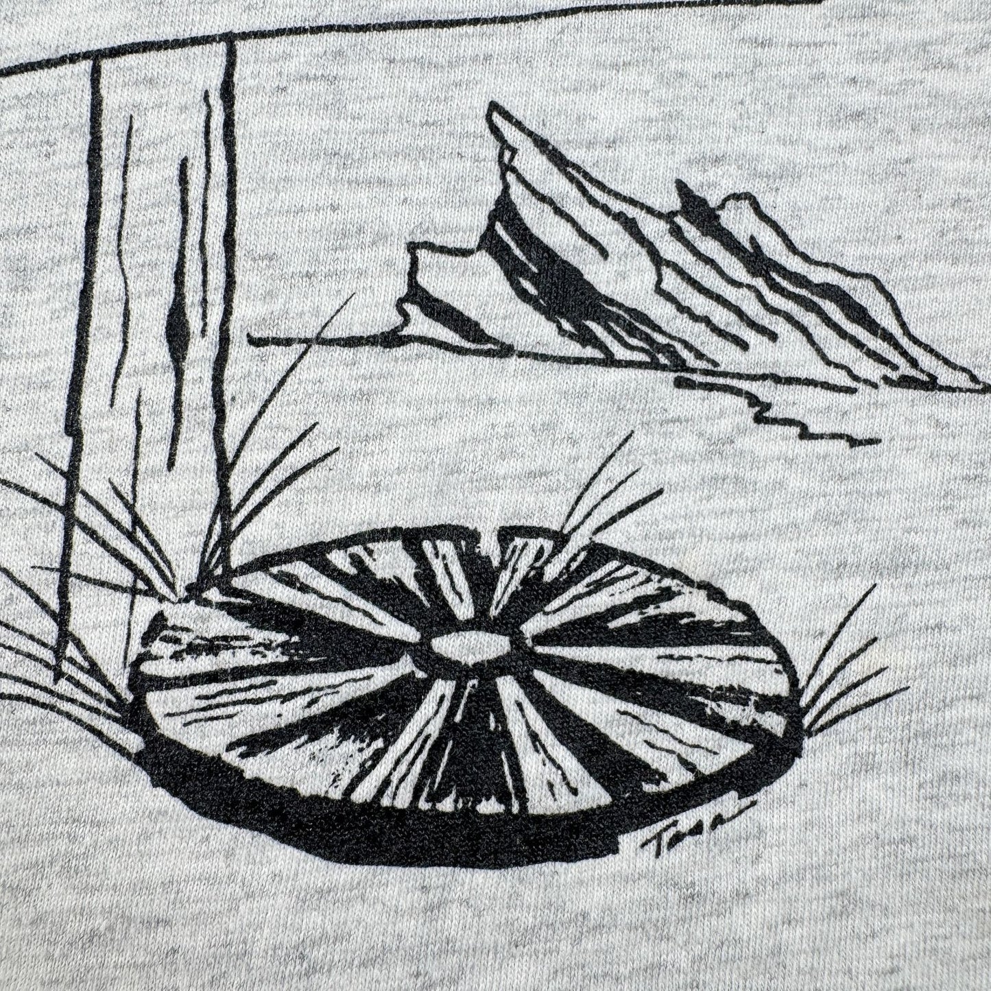 80s 90s スーベニアT Tシャツ USA製 カリフォルニア Agua Dulce アグアダルセ ONEITA グレー L シングルステッチ o-u-2505-004