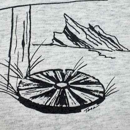 80s 90s スーベニアT Tシャツ USA製 カリフォルニア Agua Dulce アグアダルセ ONEITA グレー L シングルステッチ o-u-2505-004