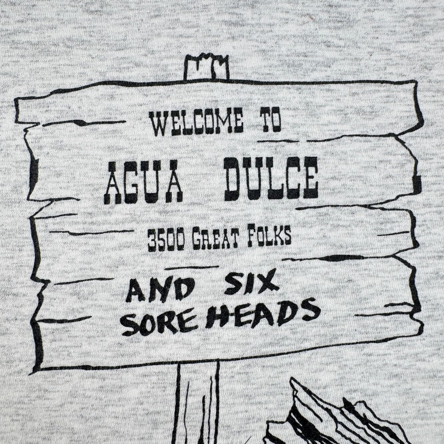 80s 90s スーベニアT Tシャツ USA製 カリフォルニア Agua Dulce アグアダルセ ONEITA グレー L シングルステッチ o-u-2505-004