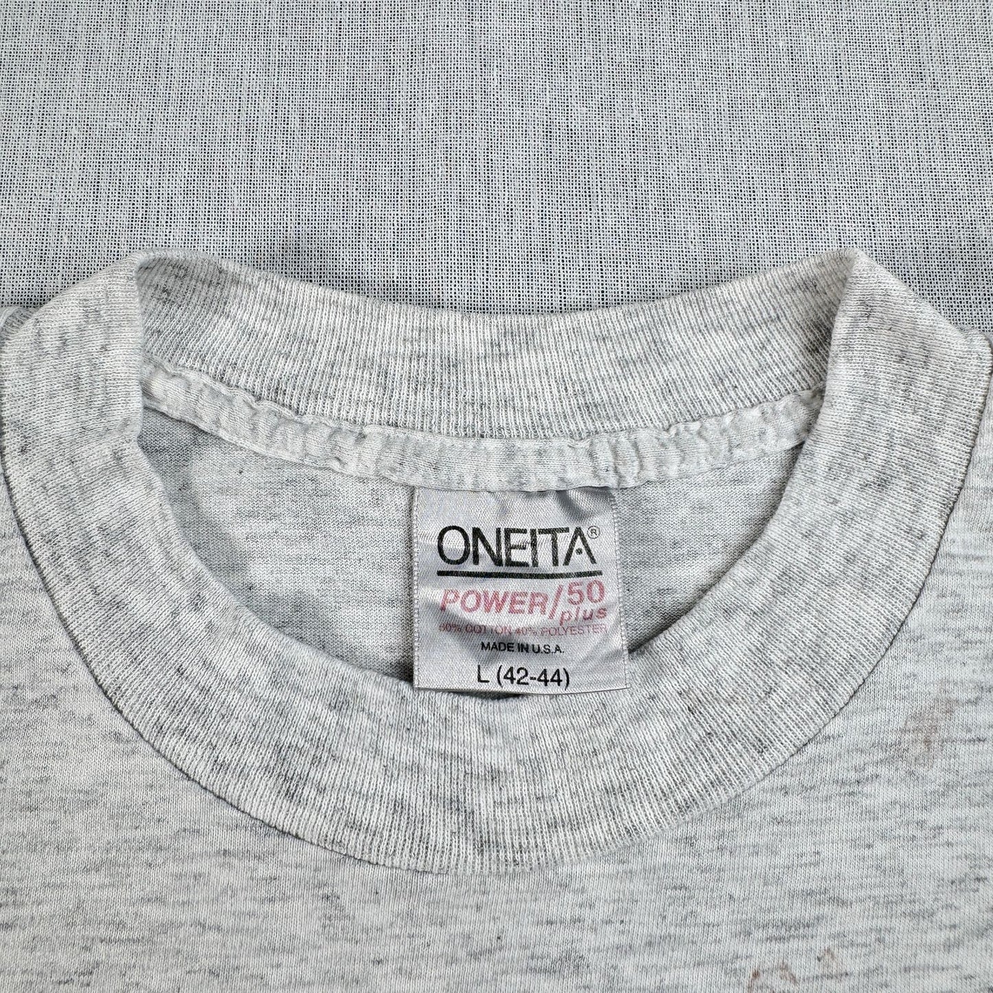 80s 90s スーベニアT Tシャツ USA製 カリフォルニア Agua Dulce アグアダルセ ONEITA グレー L シングルステッチ o-u-2505-004