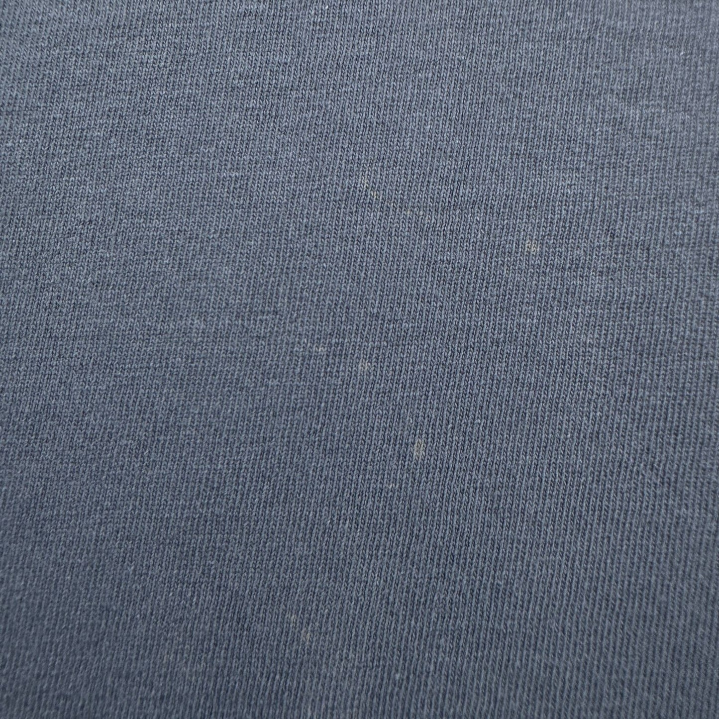 00s Tシャツ ブラックバス フィッシング バス釣り west vergin 青 USA製 XL シングルステッチ くすみカラー o-u-2505-007