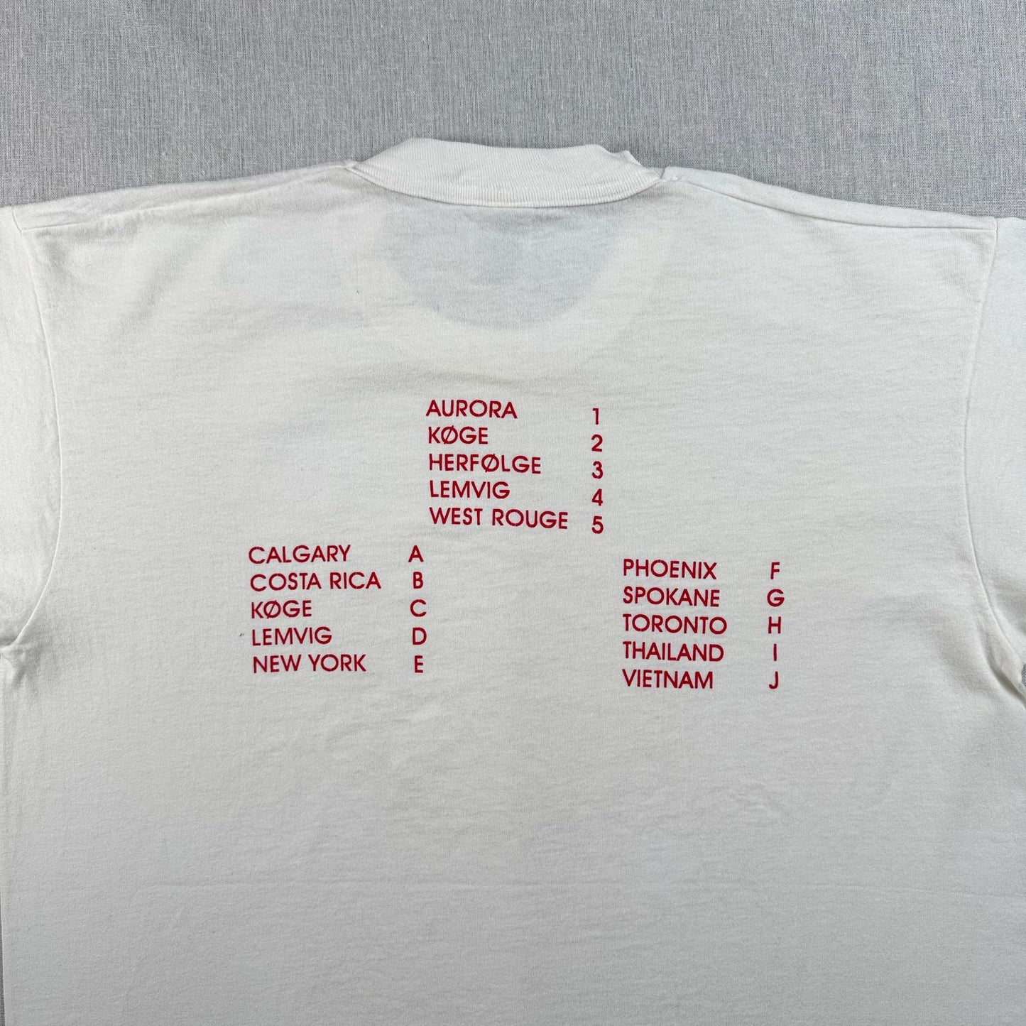 90s Tシャツ グラフ 数式 白 カナダ製 デンマーク アートT シングルステッチ o-u-2505-015