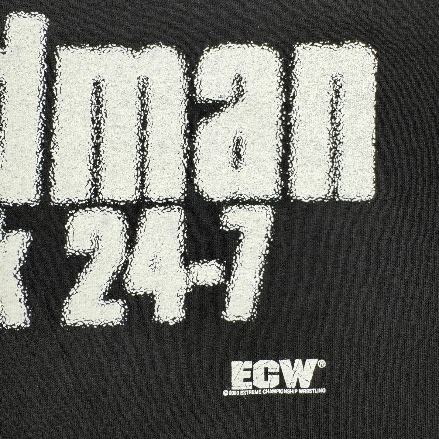 90s 00s プロレス ECW Sandman Drunk 24-7 サンドマン Tシャツ 2000 XXL 酒 タバコ camel o-u-2505-021