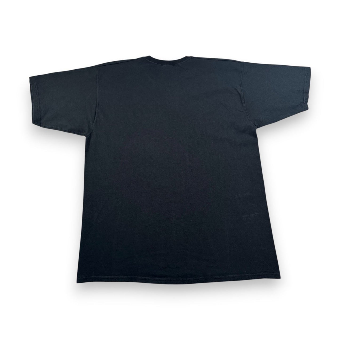 90s バハイ教 啓発T Tシャツ children of universe The Bahá'í Faith 黒 1994 子供 宗教 フルーツオブザルーム XL o-u-2505-031