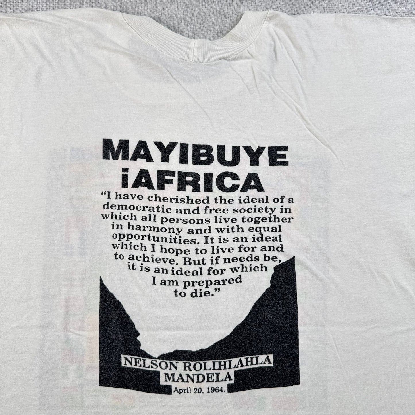 90s 偉人 Tシャツ ネルソンマンデラ 国旗 viva mandela 白 シングルステッチ o-u-2505-038