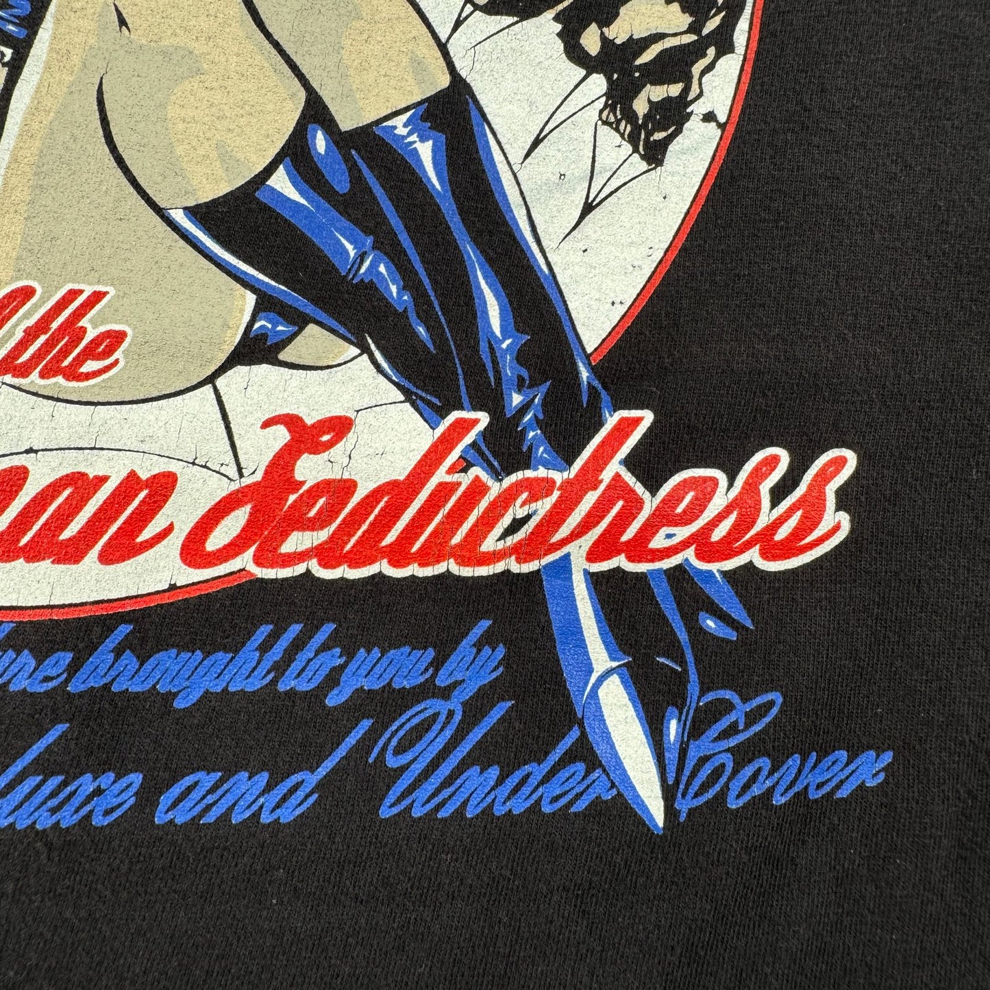 90s 00s ベティペイジ Fashion Victim PORN DELUXE Tシャツ Spiderwoman Seductress ローブロウアート ピンナップガール M o-u-2505-043