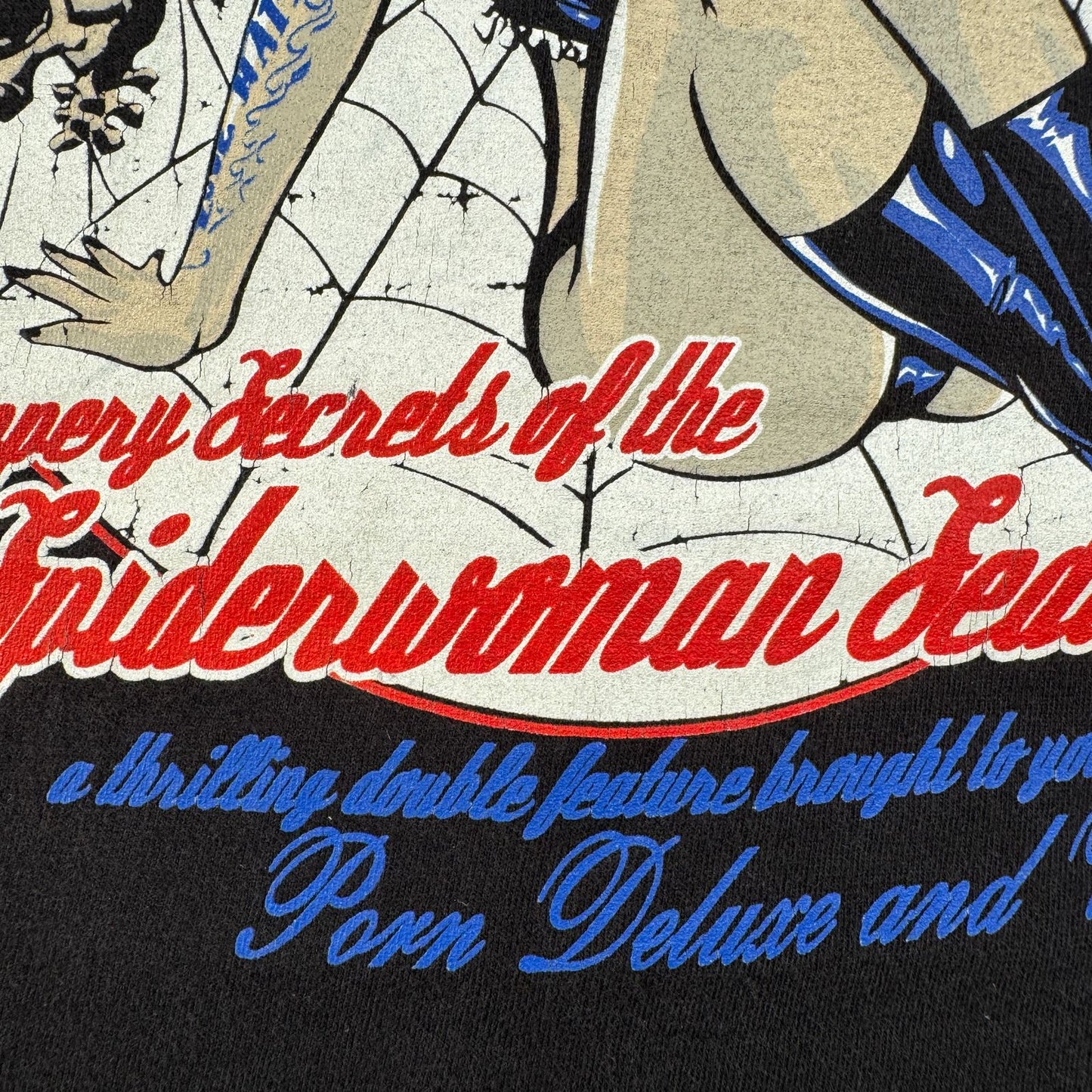 90s 00s ベティペイジ Fashion Victim PORN DELUXE Tシャツ Spiderwoman Seductress ローブロウアート ピンナップガール M o-u-2505-043