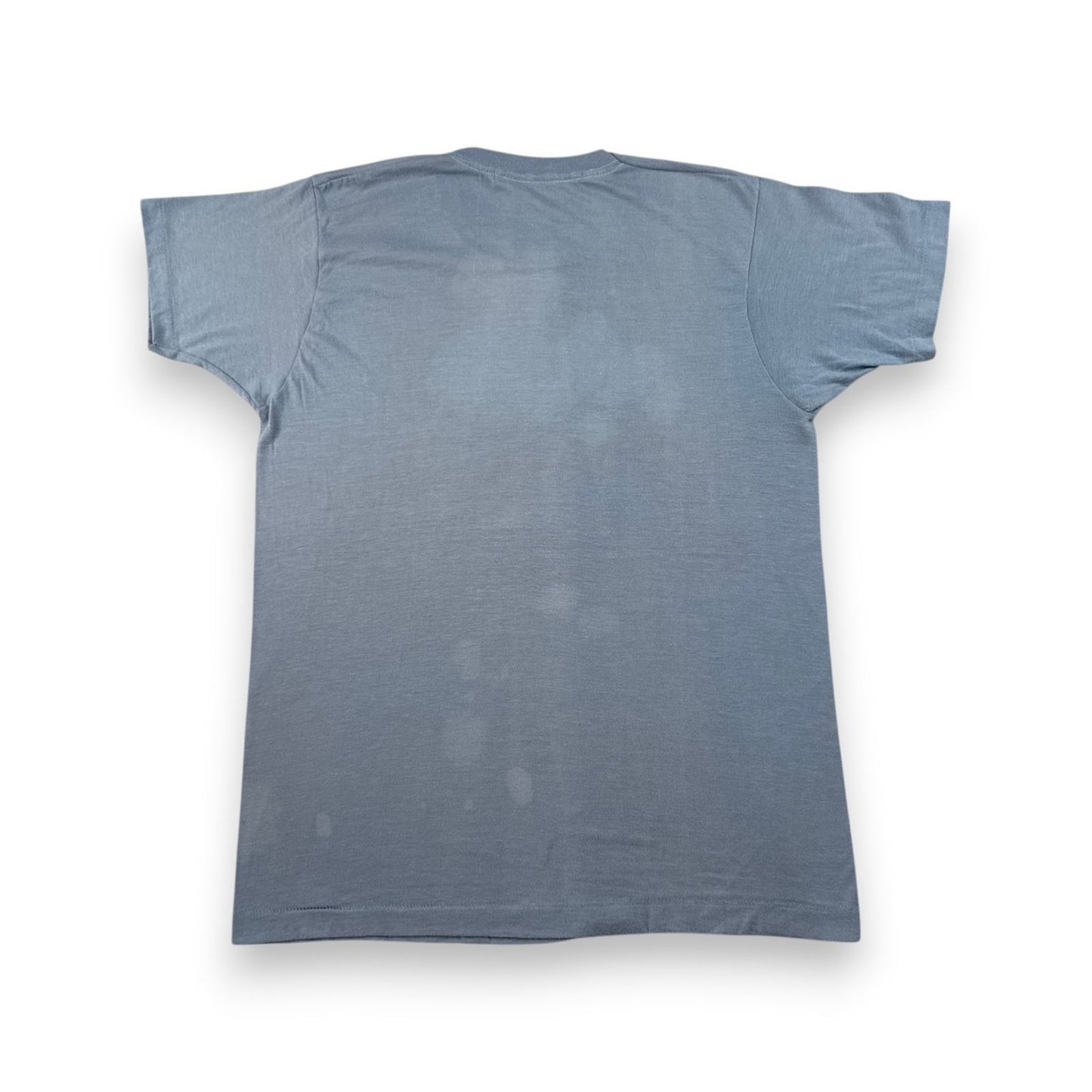 80s USA製 Fred Rogers フレッドロジャース Tシャツ 水色 can you say FUCK IT XL シングルステッチ メッセージT スクリーンスターズ o-u-2505-045
