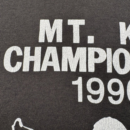 90s 韓国 少林寺 Tシャツ MT KIM championship 1996 シングルステッチ USA製 2XL o-x-2505-001
