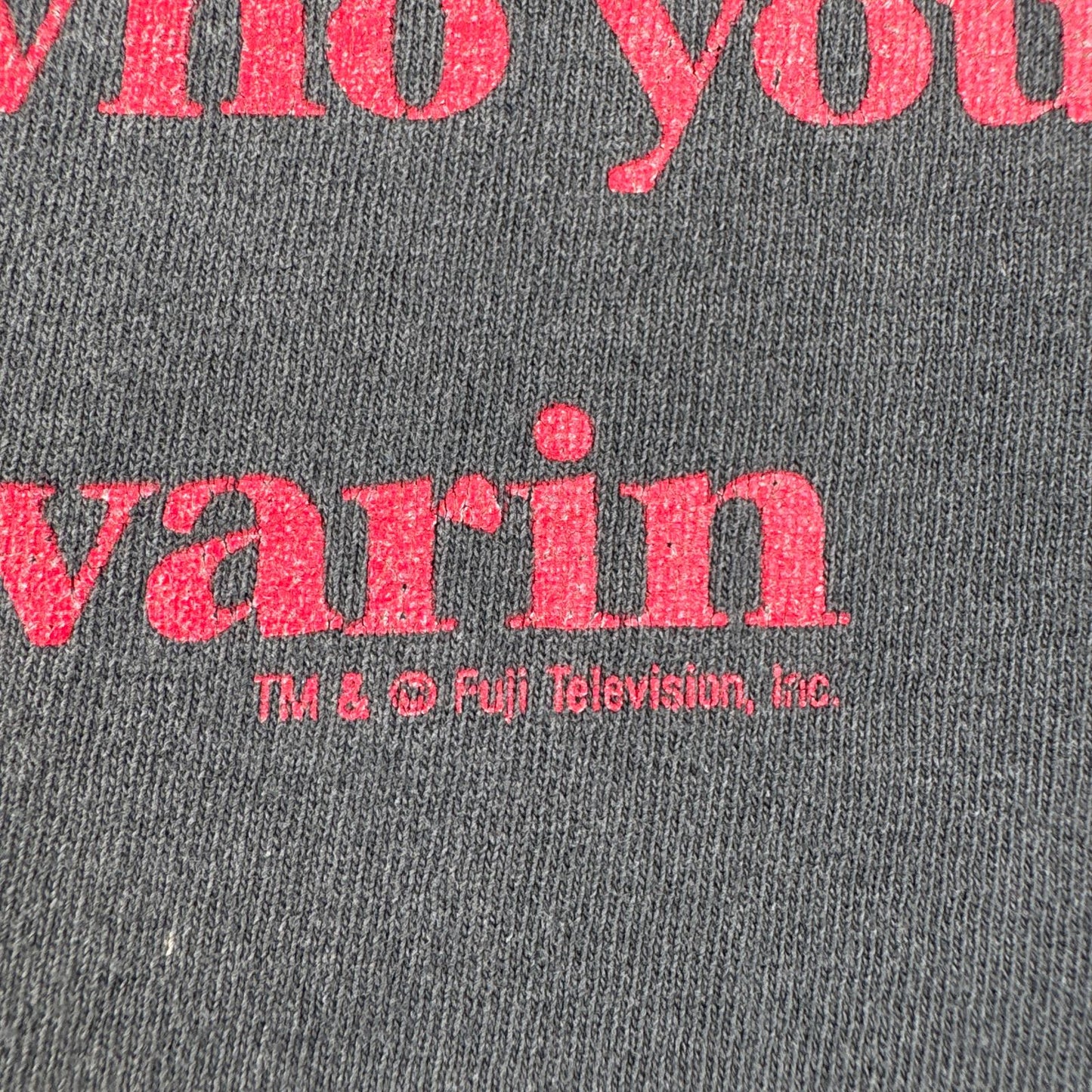 90s Iron Chef 料理の鉄人 パプリカ Tシャツ フェード 黒 M fuji television inc. o-x-2505-005