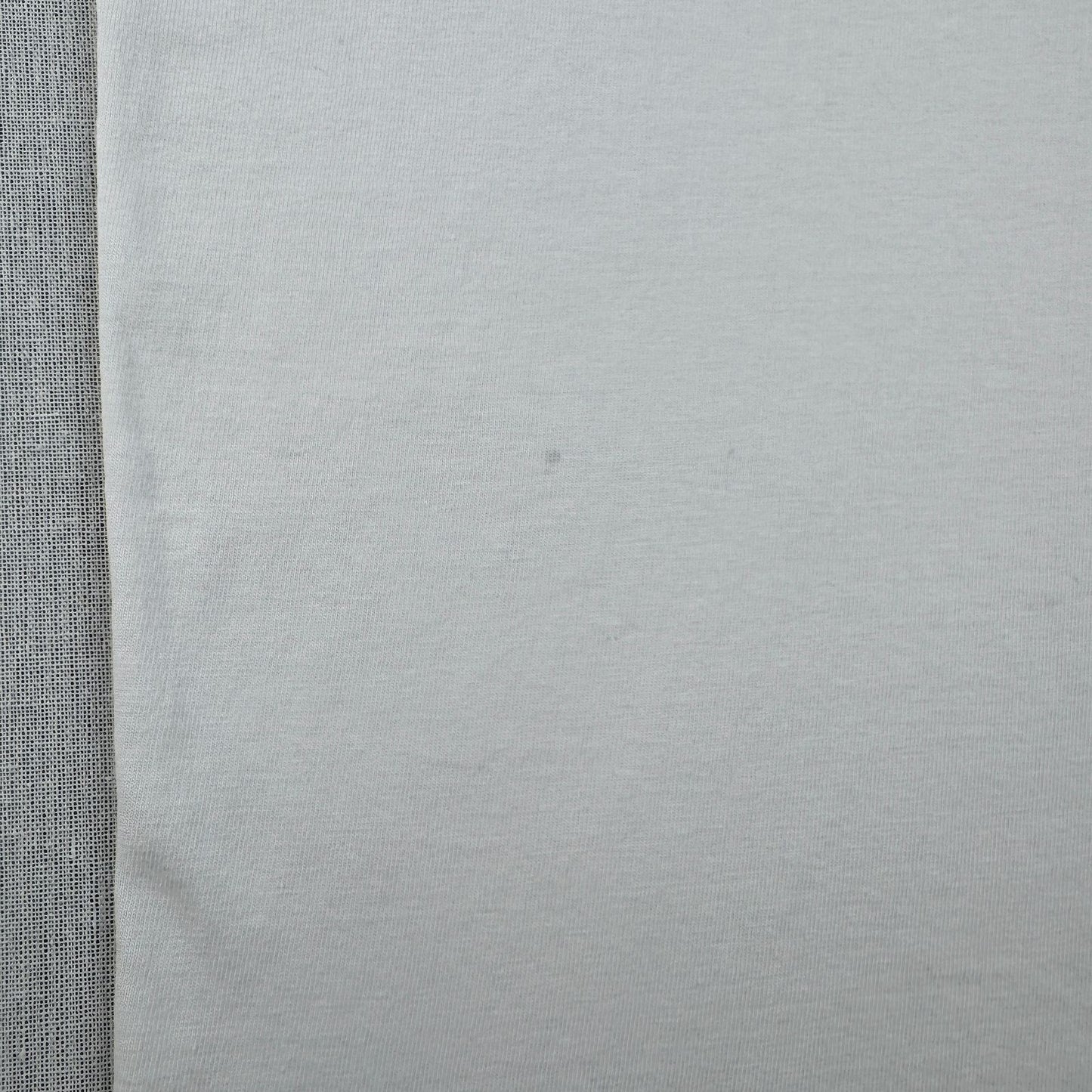 90s BANANA REPUBLIC Tシャツ ポケT USA製 カメレオン トカゲ アニマル 動物 M シングルステッチ 白 2603-0009