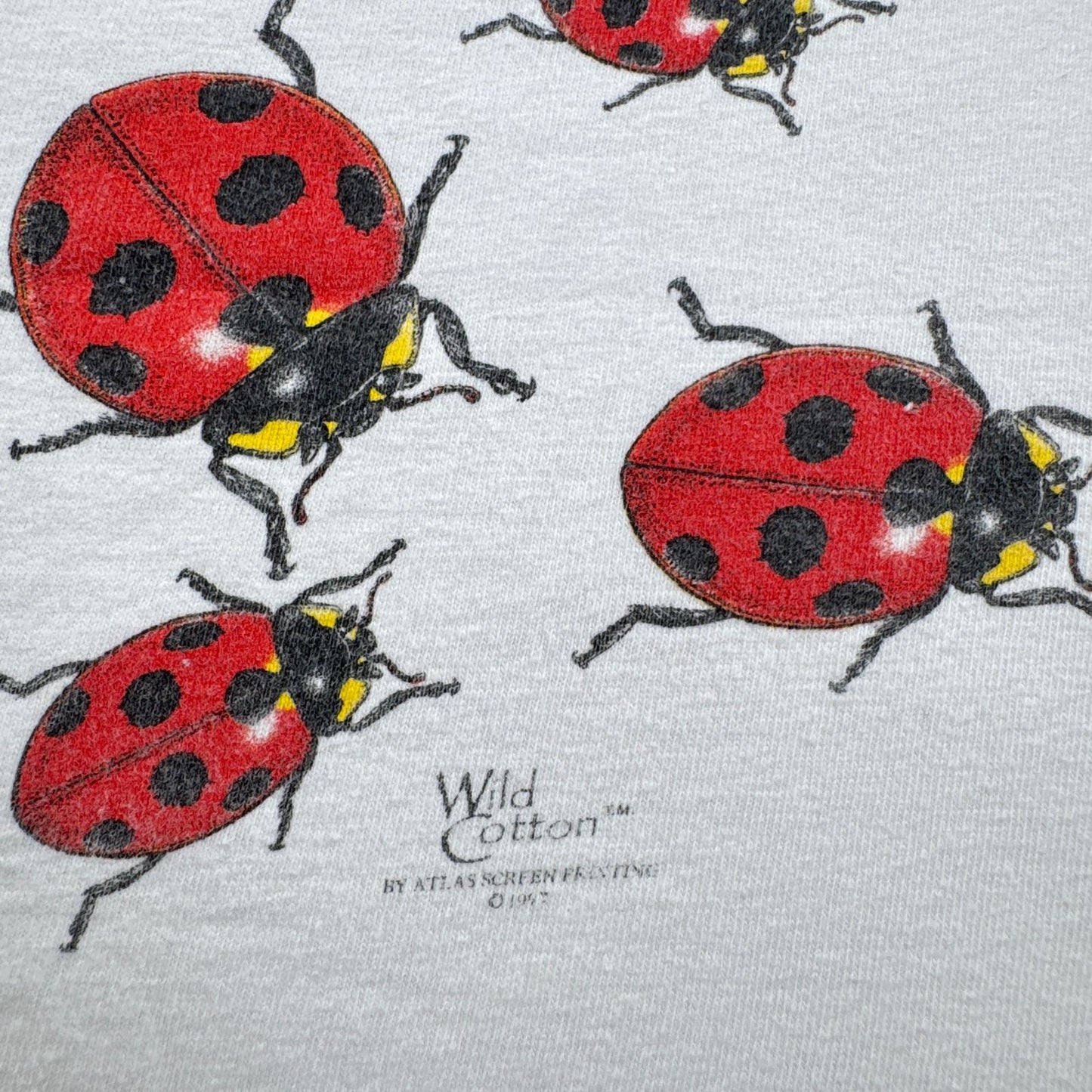 90s wild cotton てんとう虫 昆虫 Tシャツ ホワイト M 2603-0011