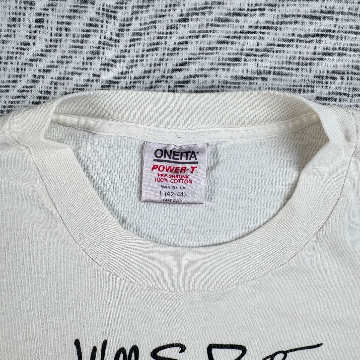 80s USA製 Tシャツ アートT サンタフェ 白 L ONEITA zozobra シングルステッチ 2603-0018