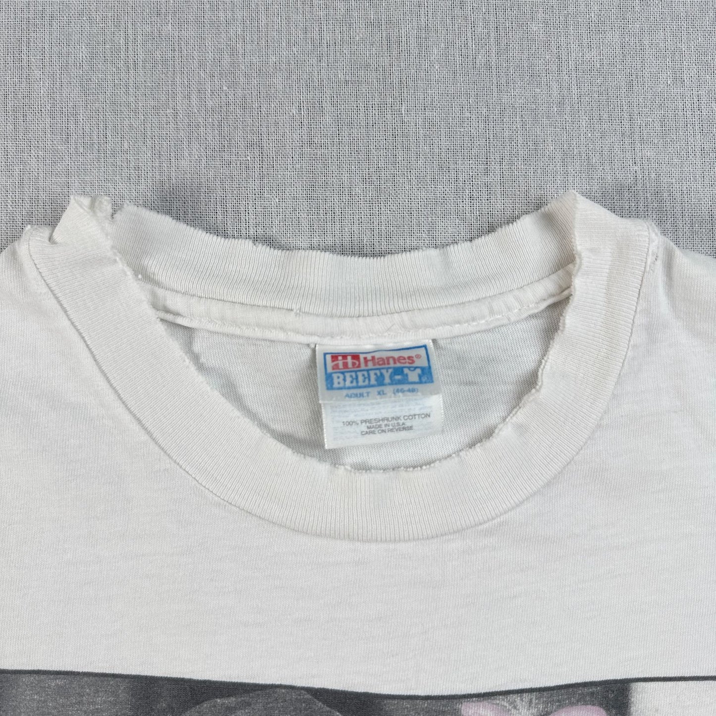 90s USA製 kim anderson フォトT アートT Tシャツ Hanes XL シングルステッチ キムアンダーソン 写真家 2603-0019