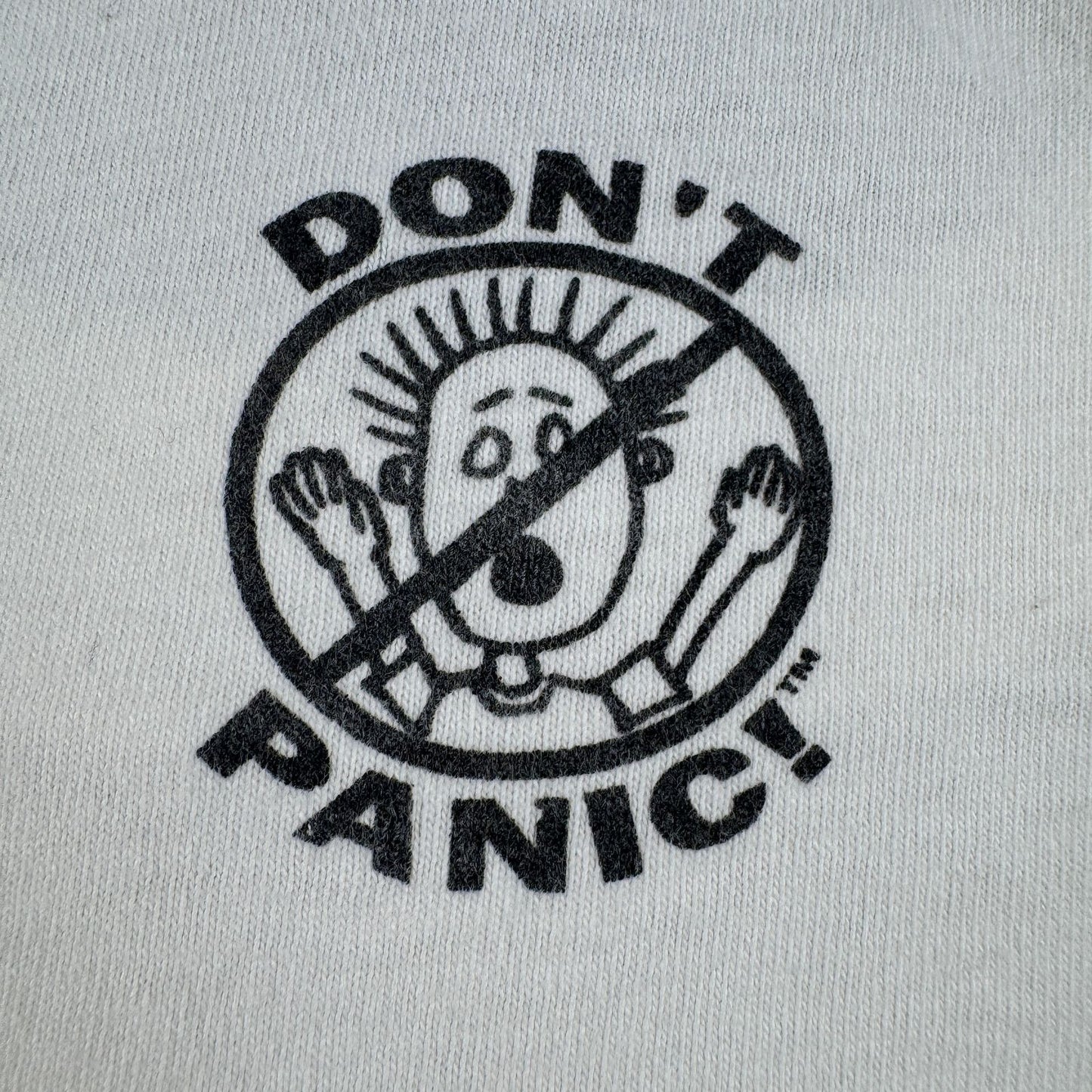 90s Dont panic ドントパニック オールドスケート Tシャツ ポップアート USA製 L 原始家族 パロディ シングルステッチ 1994 2603-0020