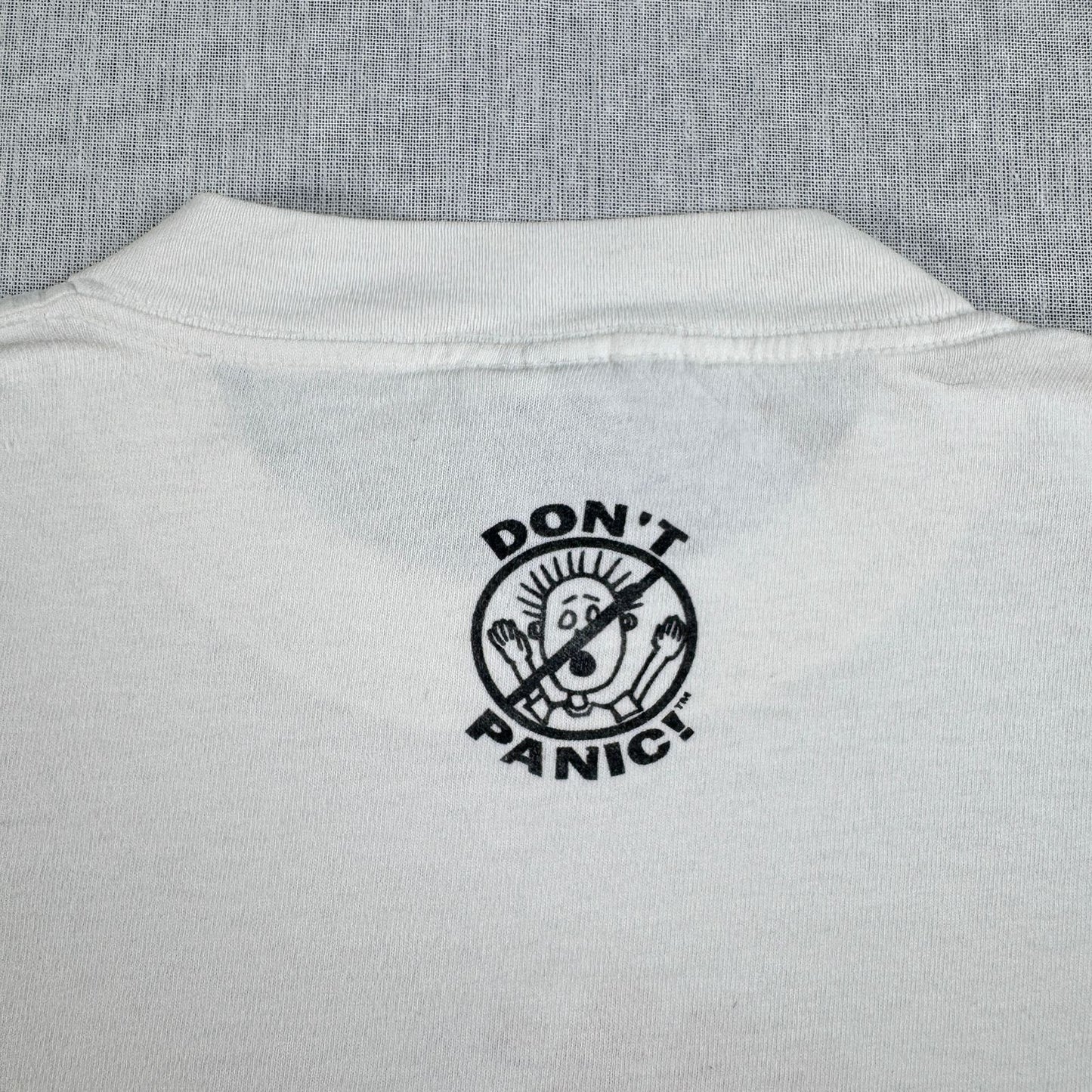 90s Dont panic ドントパニック オールドスケート Tシャツ ポップアート USA製 L 原始家族 パロディ シングルステッチ 1994 2603-0020