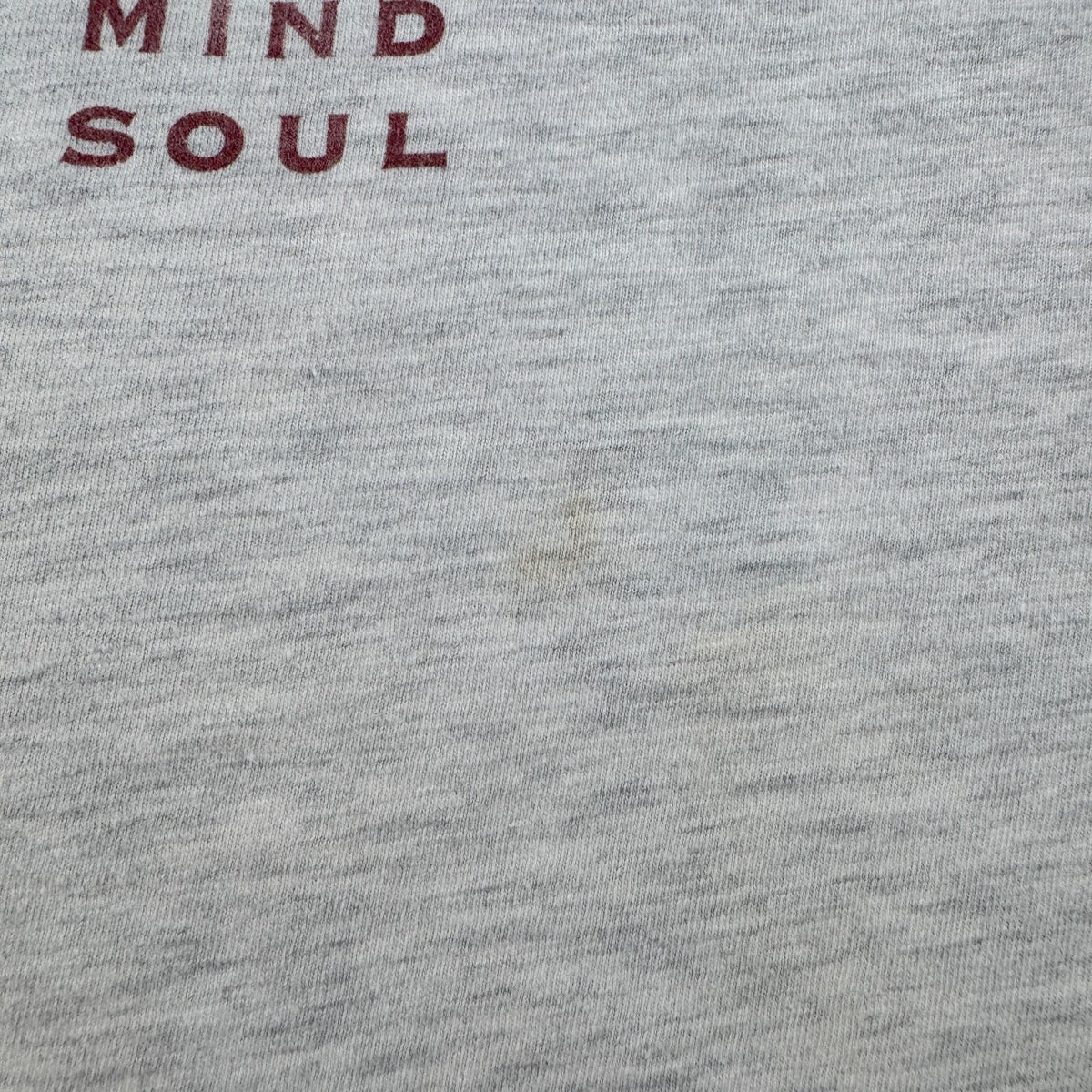90s USA製 太陽 薔薇 アートT Tシャツ グレー Hanes L BODY MIND SOUL 十字架 ガンズ シングルステッチ 2603-0021