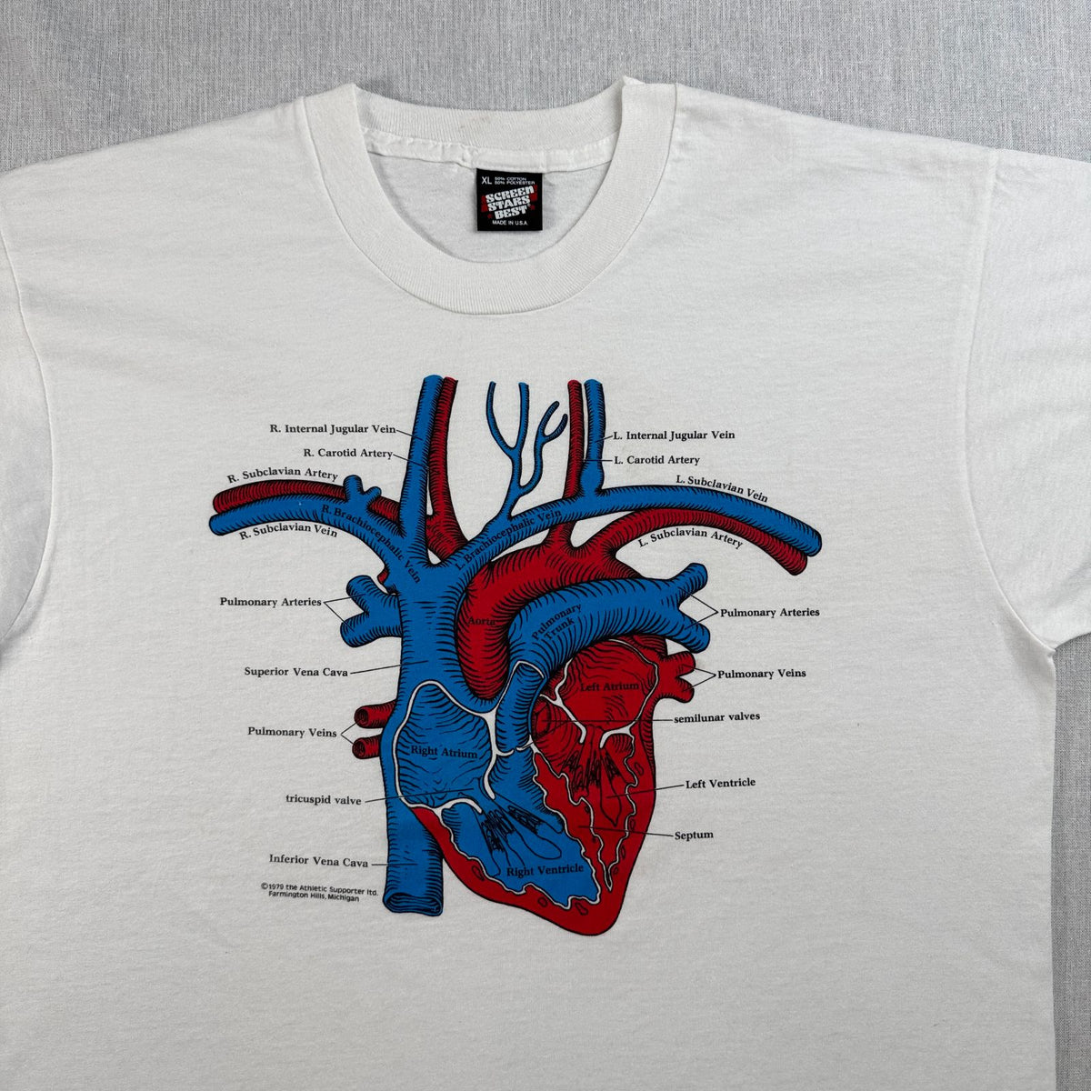 80s アナトミカル 臓器 人体 アートT USA製 白 XL 心臓解剖図 アナトミー Tシャツ スクリーンスターズ シングルステッチ 2603-0042