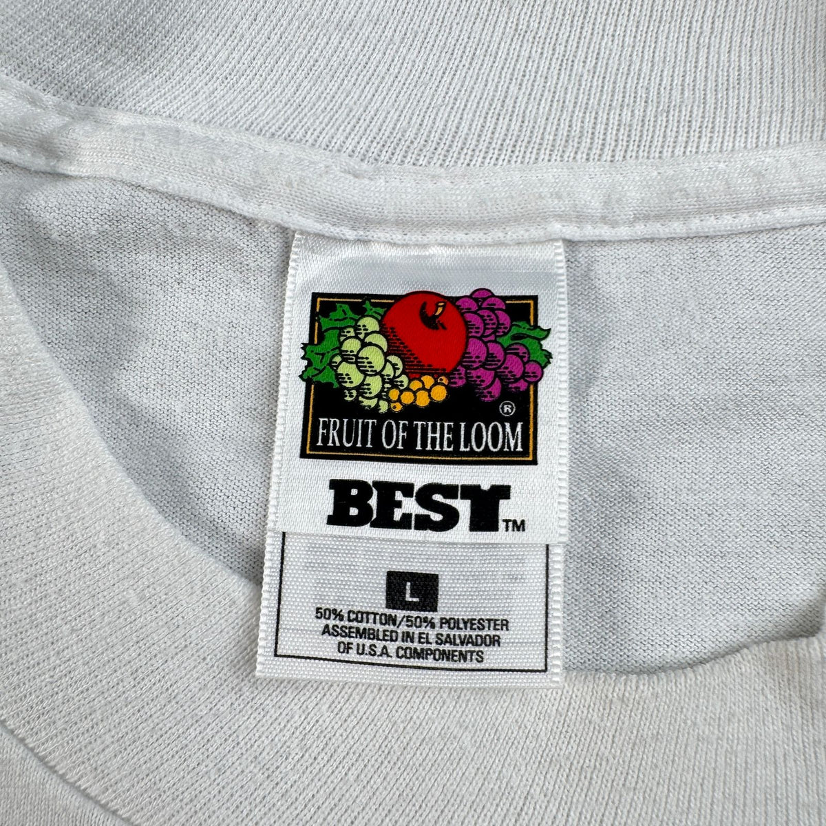 00s 鳥 バード アートT Tシャツ 白 L Green jay 2603-0067