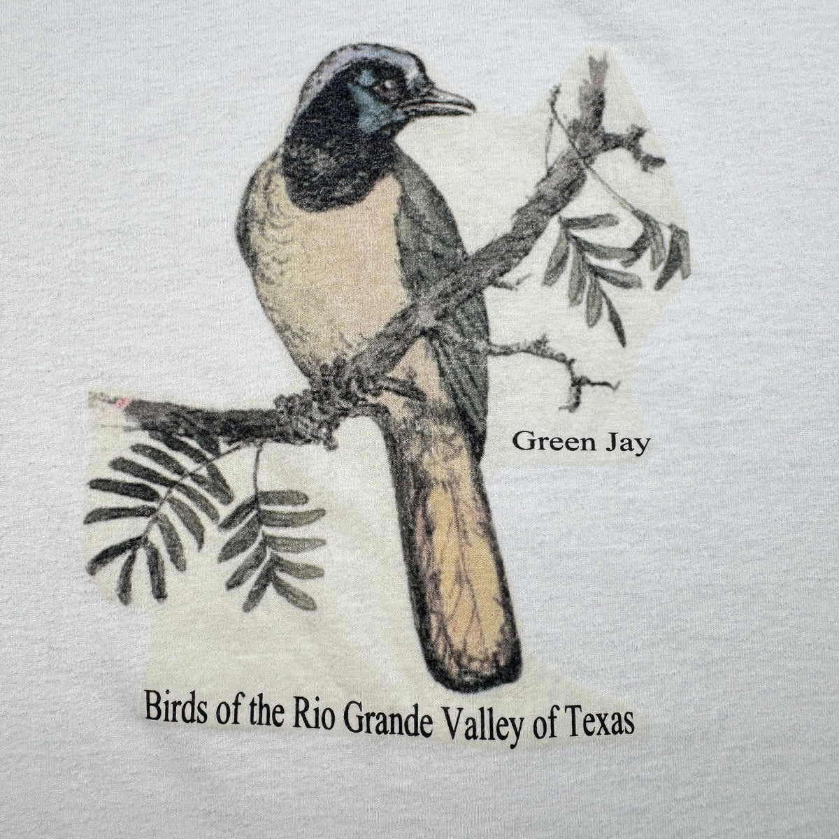 00s 鳥 バード アートT Tシャツ 白 L Green jay 2603-0067