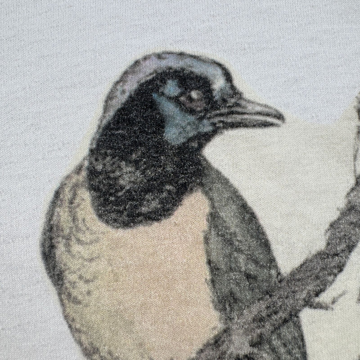 00s 鳥 バード アートT Tシャツ 白 L Green jay 2603-0067