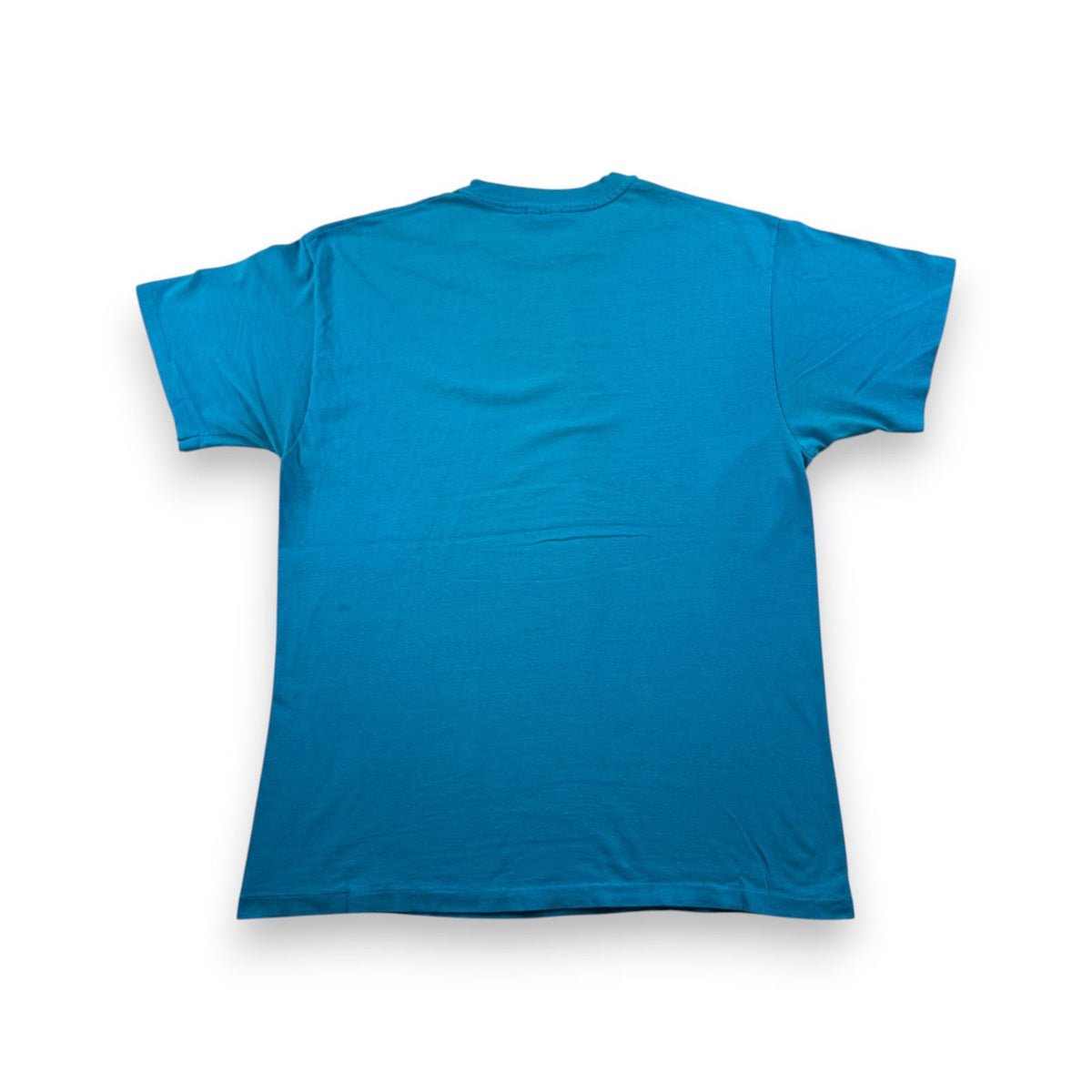90s ハワイ イルカ Tシャツ 動物 水色 青 L USA製 hanes シングルステッチ アートT 2603-0134