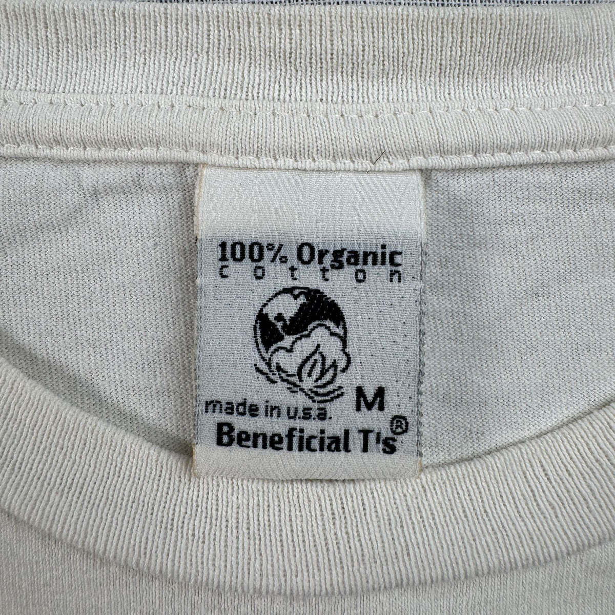 90s 00s FAT TIRE ビール patagonia オーガニック 企業T Tシャツ USA製 2603-0142