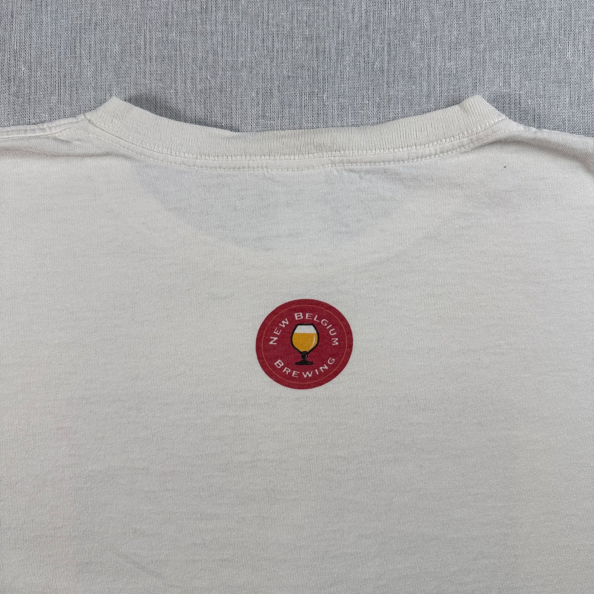 90s 00s FAT TIRE ビール patagonia オーガニック 企業T Tシャツ USA製 2603-0142